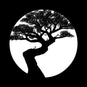 Tree Ninja - Hypertodd