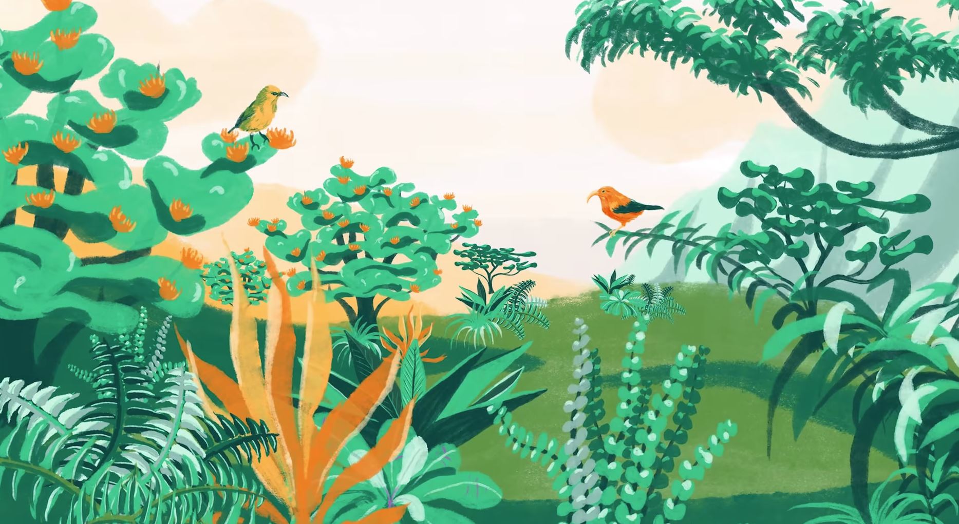 "Biocontrol in Hawaii" Animated explainer video