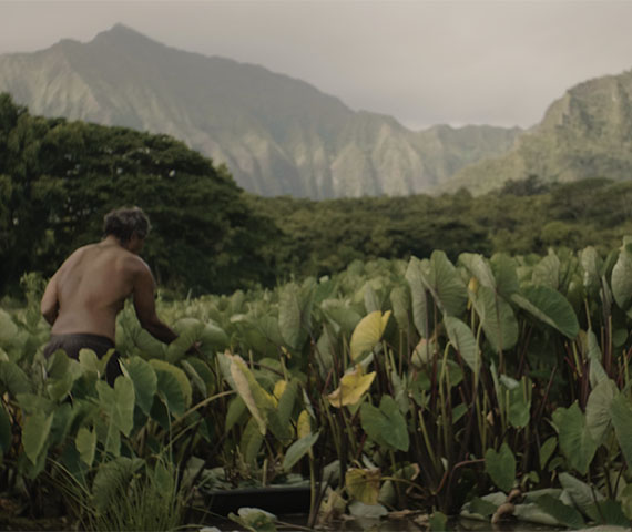 Keep Hawaiʻi Hawaiʻi